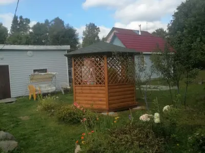 Елена Семенова - отзыв 11606