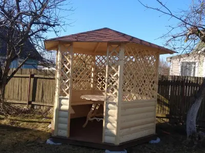 Виктория Фролова - отзыв 11801