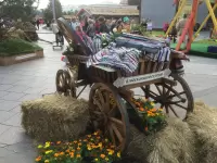 Колесо для телеги из дерева D-90 см