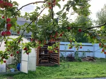 Татьяна Левашова - отзыв 11895