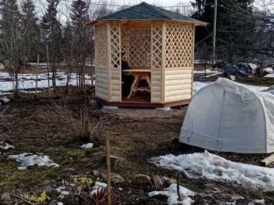 Катя Форсова - отзыв 11741