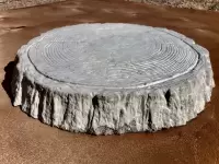 ТРОТУАРНАЯ ПЛИТКА "ПЕНЕК" СРЕДНИЙ СПИЛ с корой