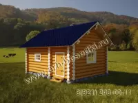 Сруб бани из бревна