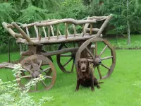 Телега из дерева под старину декоративная большая