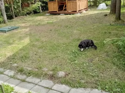 Анастасия - отзыв 12018