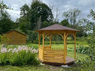 Елена Ш. - отзыв 11619