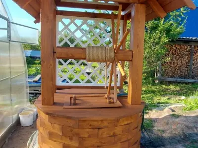 Ирина Непытаева - отзыв 11887