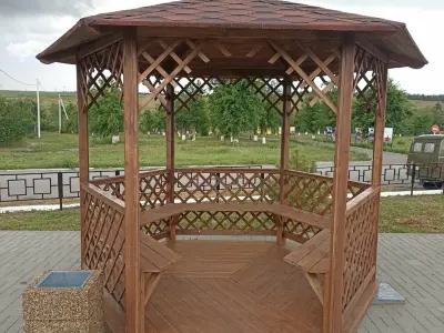 Ксения П. - отзыв 12114